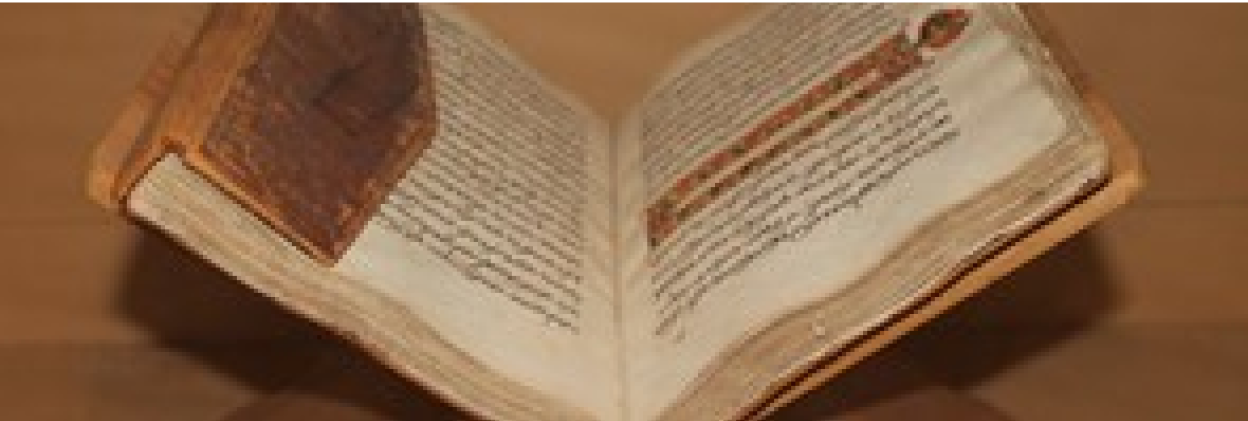 Il Patrimonio